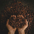 Cacao_alternative_au_cafe