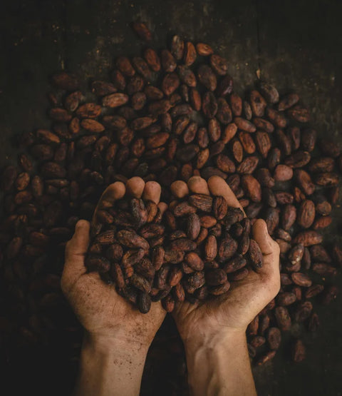 Cacao_alternative_au_cafe