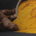 Curcuma_