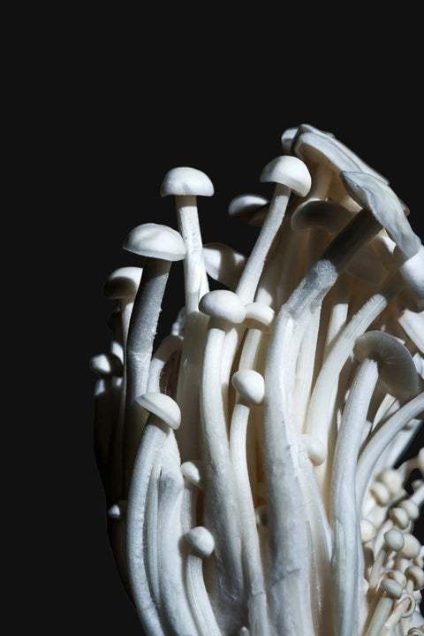 café champignons